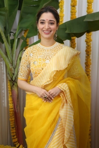 Actress Tamannaah Saree Photos @ Bhola Shankar Movie Opening