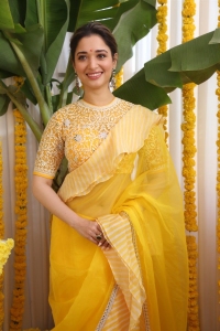 Actress Tamannaah Saree Photos @ Bhola Shankar Movie Launch