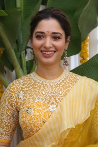 Actress Tamannaah Saree Photos @ Bhola Shankar Movie Launch