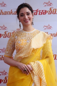 Actress Tamanna Saree Photos @ Bhola Shankar Movie Launch