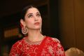 Actress Tamanna Cute Photos @ Sye Raa Chennai Press Meet