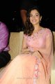 Tamanna in Saree at Racha Audio Release Function