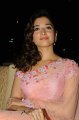 Tamanna Gorgeous Photos in Saree