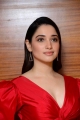 Actress Tamanna Pictures @ Gurthundha Seethakalam Movie Press Meet