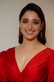 Actress Tamanna Red Dress Pictures @ Gurthundha Seethakalam Press Meet