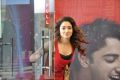 Tamanna Hot photos in Celkon Ad