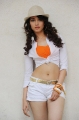 Tamanna Hot in Badrinath Movie Stills