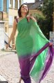 Tamanna Hot Pics in Saree