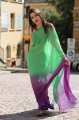 Tamanna in Transparent Saree Pictures