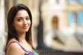 Cute Tamanna Saree Stills