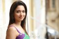 Tamanna Hot in Green Saree Pics