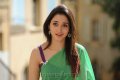 Tamanna in Transparent Saree Pictures