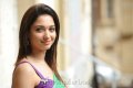 Cute Tamanna Saree Stills