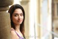 Cute Tamanna Saree Stills