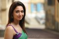 Cute Tamanna Saree Stills