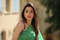 Tamanna Hot Pics in Saree