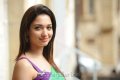 Cute Tamanna Saree Stills