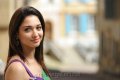 Cute Tamanna Saree Stills