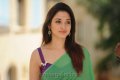 Tamanna Hot in Green Saree Pics