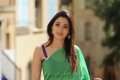 Tamanna Hot Pics in Saree