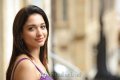 Tamanna Hot in Green Saree Pics