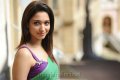 Tamanna Hot in Green Saree Pics