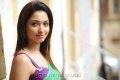 Tamanna Hot Pics in Saree