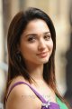 Tamanna Hot in Green Saree Pics