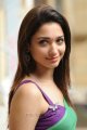 Tamanna Hot in Green Saree Pics