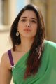 Tamanna Hot in Green Saree Pics