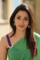 Tamanna Saree Photos in Oosaravelli