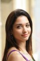 Cute Tamanna Saree Stills