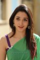 Tamanna Hot Pics in Saree