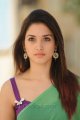 Tamanna Hot in Green Saree Pics