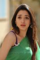 Tamanna Saree Photos in Oosaravelli