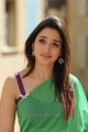 Tamanna Hot Photos in Saree