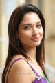 Tamanna Hot in Green Saree Pics