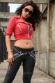 Tamanna Hot Spicy Pics in Rebel Movie
