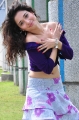 Actress Tamanna Hot Pics in Vengai