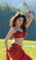 Tamanna Hot Photos in Badrinath Movie
