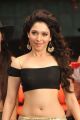 Actress Tamanna Hot Pics in CGR Movie