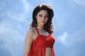 Actress Tamannaah Bhatia Hot Red Dress Wallpapers