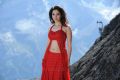 Actress Tamanna Bhatia Hot Red Dress Wallpapers