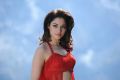 Oosaravelli Tamanna Hot Red Dress Wallpapers