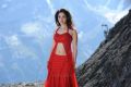 Oosaravelli Tamanna Hot Red Dress Wallpapers