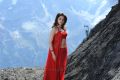 Oosaravelli Tamanna Bhatia Hot Red Dress Wallpapers