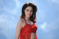 Oosaravelli Tamanna Hot Red Dress Wallpapers