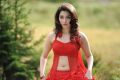 Oosaravelli Tamanna Hot Red Dress Wallpapers