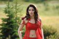 Actress Tamanna Hot Red Dress Wallpapers