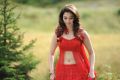 Actress Tamanna Bhatia Hot Wallpapers in Red Dress